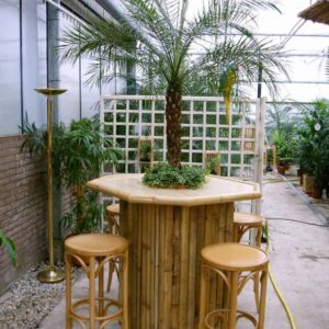 Foto van Bamboe statafel set