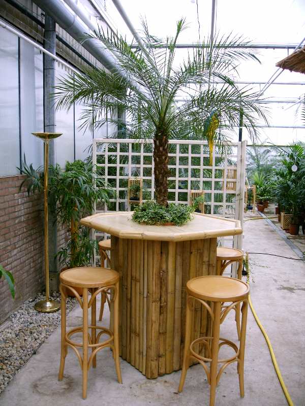 Foto van Bamboe statafel set