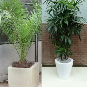 Foto van Potten afgewerkt met vliesdoek (wit/crème)