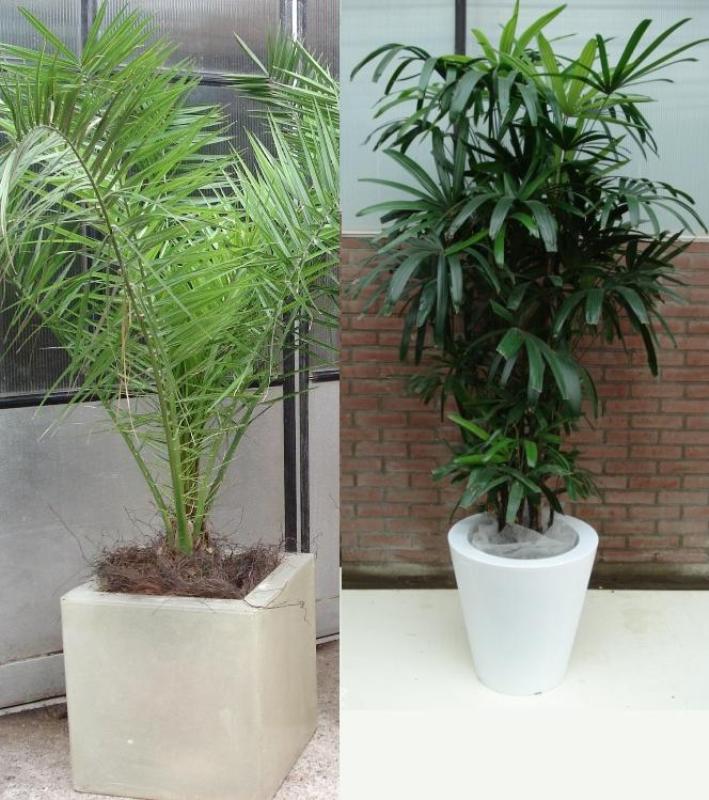 180_Potten_afgewerkt_met_salim_bruin_ Foto van Potten afgewerkt met salim (bruin)