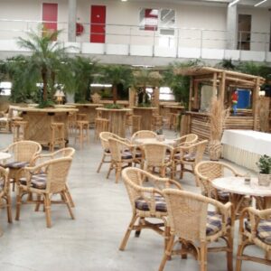 Foto van Rotan stoel (incl. kussen)