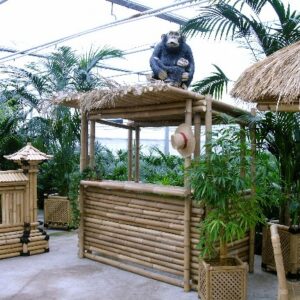 Foto van Ibiza Bar - incl. op/afbouw