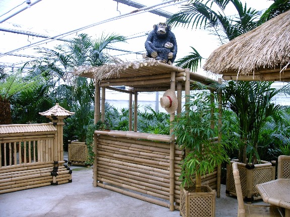 Foto van Ibiza Bar - incl. op/afbouw