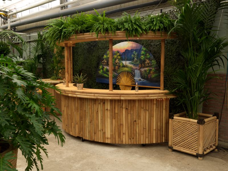 Foto van Halfronde Bamboebar met verlichting en varens